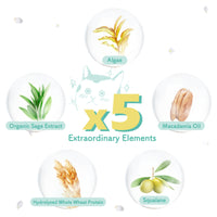 Extraordinary Elements